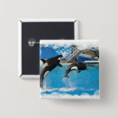 Orca Whales Square Button (Voorkant /achterkant)