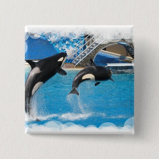 Orca Whales Square Button (Voorkant)