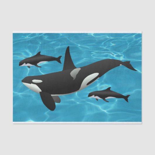 Orca Whales Tissuepapier (Voorkant)