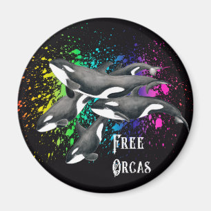 Orca Whales Waterverf Splash Black Magneet