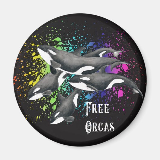Orca Whales Waterverf Splash Black Magneet (Voorkant)