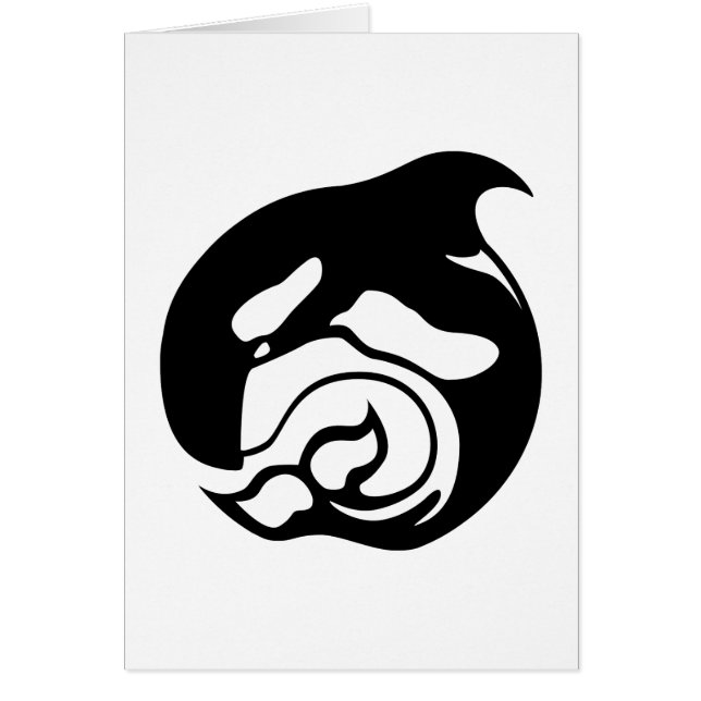 orcaanse walvis (Voorkant)