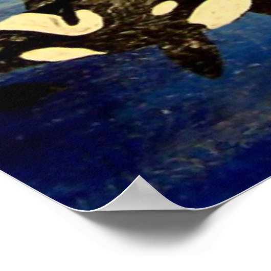 orcaanse walvis poster (Hoek)