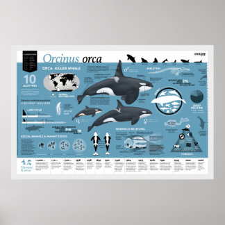 Orcagraphic poster - Engelse editie