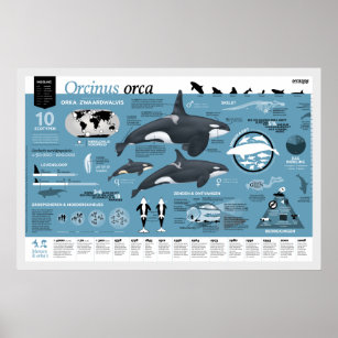 Orcagraphic poster - Nederlandse editie