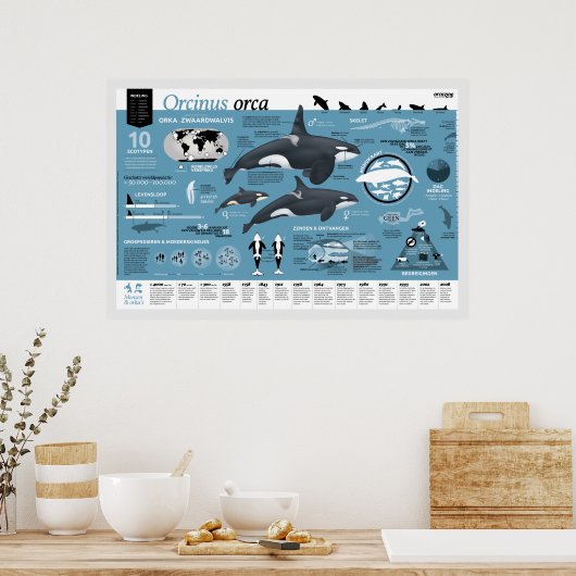 Orcagraphic poster - Nederlandse editie (Keuken)