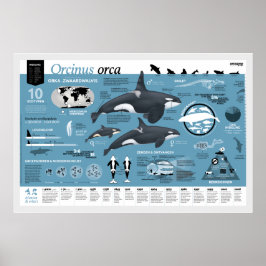 Orcagraphische poster - Nederlandse editie