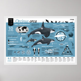 Orcagraphische poster - Nederlandse editie