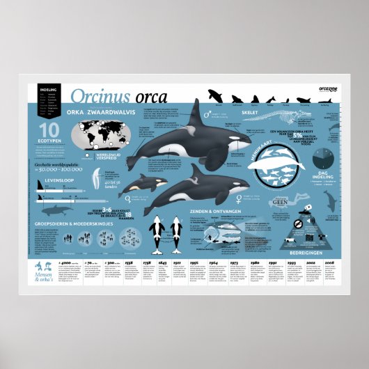 Orcagraphische poster - Nederlandse editie (Voorkant)