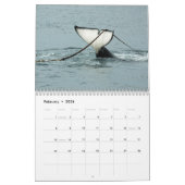 Orcas ~ 2012 Agenda Kalender (Feb 2026)
