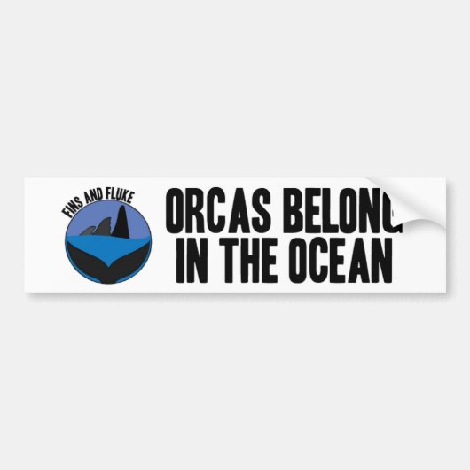 Orcas Belong in de Bumpersticker van de Oceaan (Voorkant)