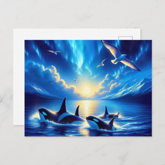 Orcas Briefkaart (Voorkant / Achterkant)