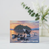 Orcas in Washington san juan islands travel Briefkaart (Staand voorkant)