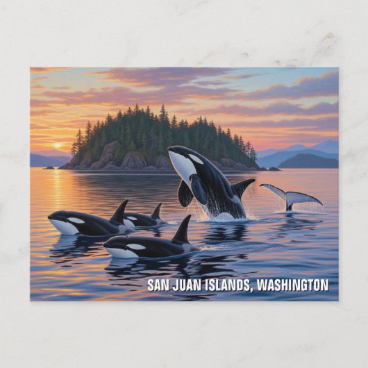 Orcas in Washington san juan islands travel Briefkaart (Voorkant)
