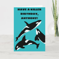 Orcas Killer Whales Blauwgroen Blauw Aangepast