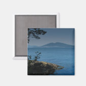 Orcas Magneet (Voorkant / Achterkant)