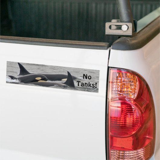 Orcas "No Tanks"-Bumpersticker Bumpersticker (Op Truck)