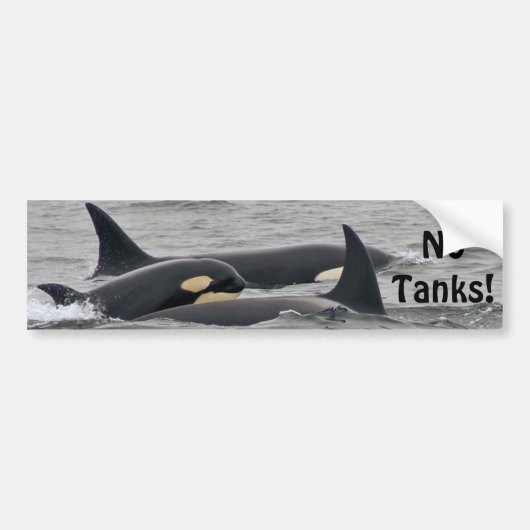 Orcas "No Tanks"-Bumpersticker Bumpersticker (Voorkant)