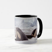 Orcas Spyhopping Mok (Voorkant rechts)