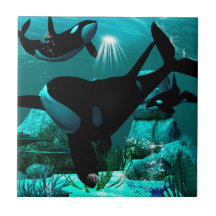 Orcas