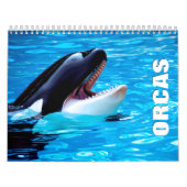 Orcas Wall Agenda Kalender (Hoes)