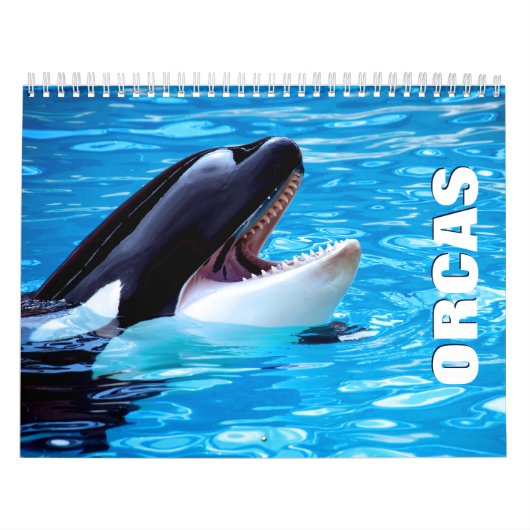 Orcas Wall Agenda Kalender (Hoes)
