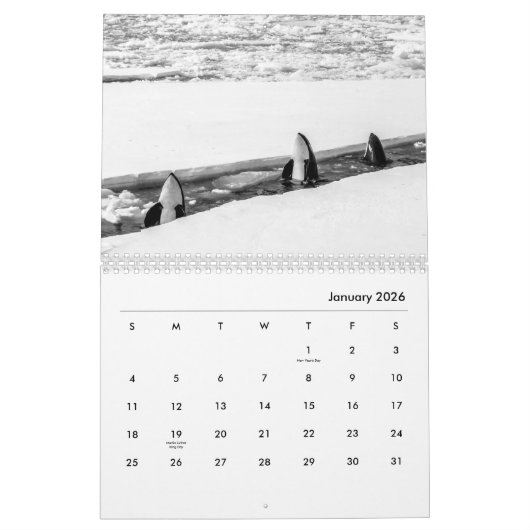 Orcas Wall Agenda Kalender (Jan 2026)