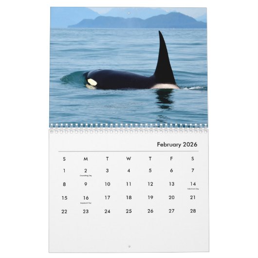 Orcas Wall Agenda Kalender (Feb 2026)