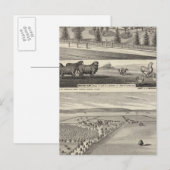 Orchard Boerderij, Somerville Lodge Briefkaart (Voorkant / Achterkant)