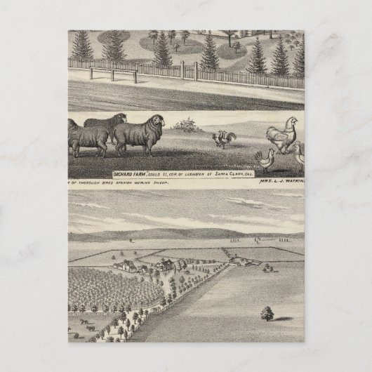 Orchard Boerderij, Somerville Lodge Briefkaart (Voorkant)