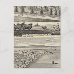 Orchard Boerderij, Somerville Lodge Briefkaart