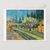 "ORCHARD BY CYPRESSES" DOOR VINCENT VAN GOGH BRIEFKAART (Voorkant)