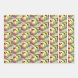 Orchard Harvest Gift Wrap Sheets — Set van 3 Inpakpapier Vel