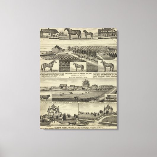Orchard Hill en Cedar Grove, Kansas Canvas Afdruk (Voorkant)