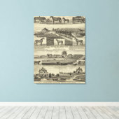 Orchard Hill en Cedar Grove, Kansas Canvas Afdruk (Insitu (Houten vloer))