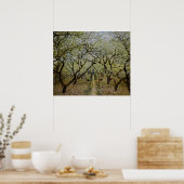 Orchard in Bloom door Claude Monet - Afdruk schild Poster (Keuken)