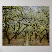 Orchard in Bloom door Claude Monet - Afdruk schild Poster (Voorkant)