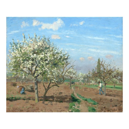 Orchard in Bloom, Louveciennes Camille Pissarro Foto Afdruk (Voorkant)