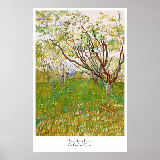 Orchard in Bloom Vincent van Gogh Poster (Voorkant)