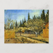 Orchard in Blossom, Cypresses, Vincent van Gogh Briefkaart (Voorkant)