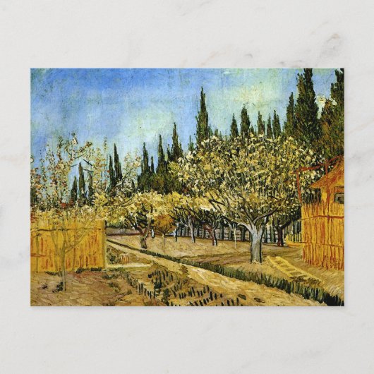 Orchard in Blossom, Cypresses, Vincent van Gogh Briefkaart (Voorkant)