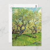 Orchard in Blossom door Vincent van Gogh Briefkaart (Voorkant / Achterkant)