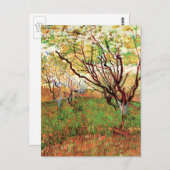Orchard in Blossom door Vincent van Gogh Briefkaart (Voorkant / Achterkant)