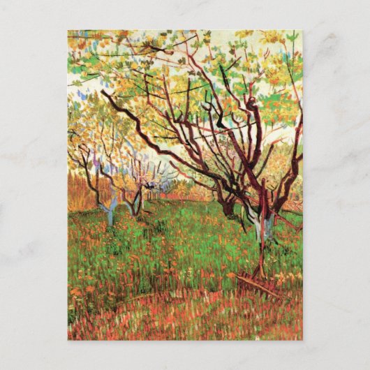 Orchard in Blossom door Vincent van Gogh Briefkaart (Voorkant)