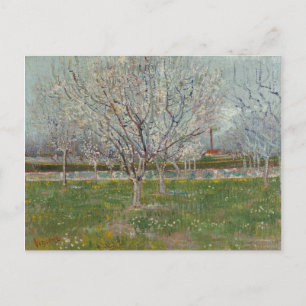 Orchard in Blossom Plum Trees door Vincent Van Gog Briefkaart