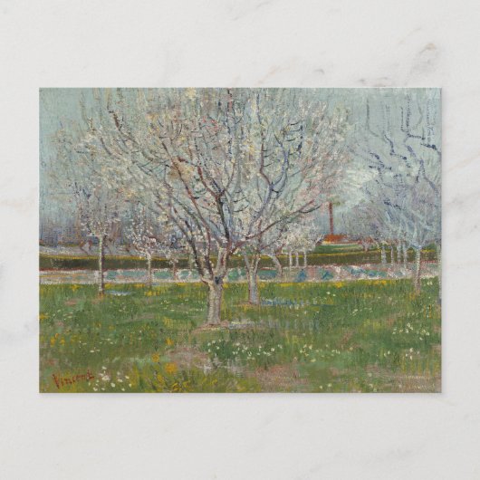 Orchard in Blossom Plum Trees door Vincent Van Gog Briefkaart (Voorkant)
