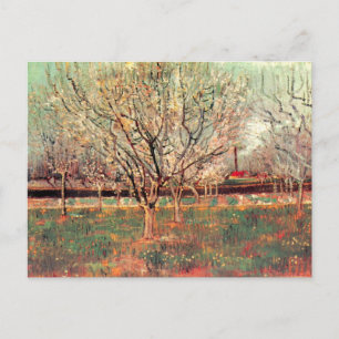 Orchard in Blossom, Plum Trees van Vincent van Gog Briefkaart