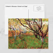 Orchard in Blossom, Vincent van Gogh Briefkaart (Voorkant / Achterkant)