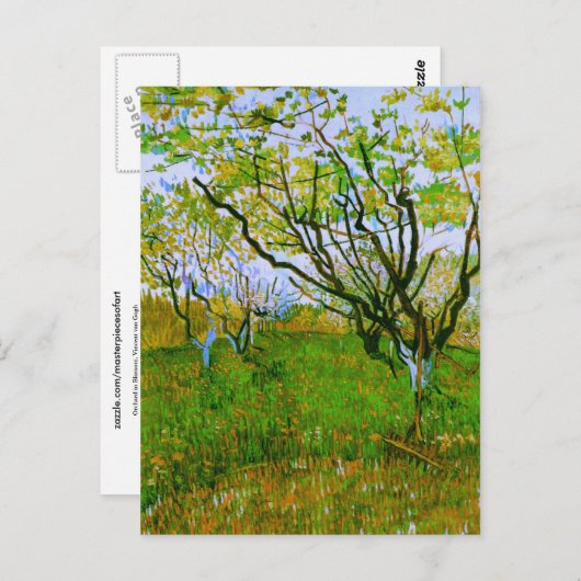 Orchard in Blossom, Vincent van Gogh Briefkaart (Voorkant / Achterkant)