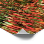 Orchard in Blossom, Vincent van Gogh Poster (Hoek)